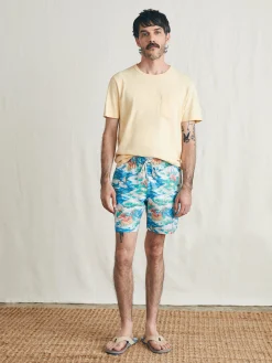 Sunwashed Trunk -*Faherty Brand Sale