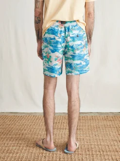Sunwashed Trunk -*Faherty Brand Sale
